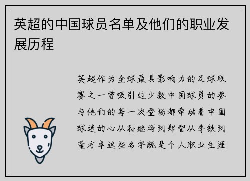 英超的中国球员名单及他们的职业发展历程